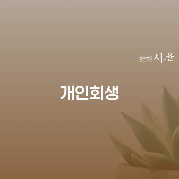 빛독촉 개인회생으로 해결 조심스럽게