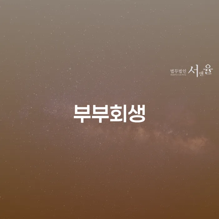 파산선고 개인회생으로 해결방법 신청절차에