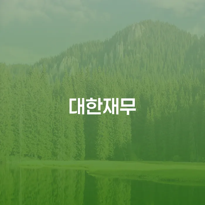 국세파산 채무조정제도을 이용하여 체크리스트