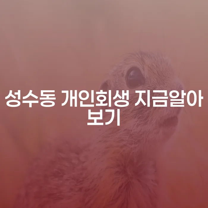 성수동 개인회생 지금알아보기
