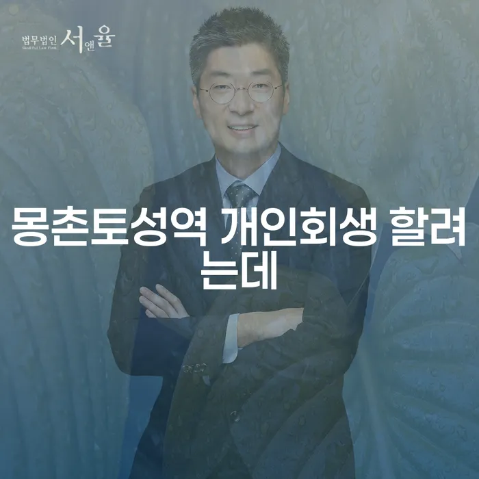몽촌토성역 개인회생 할려는데