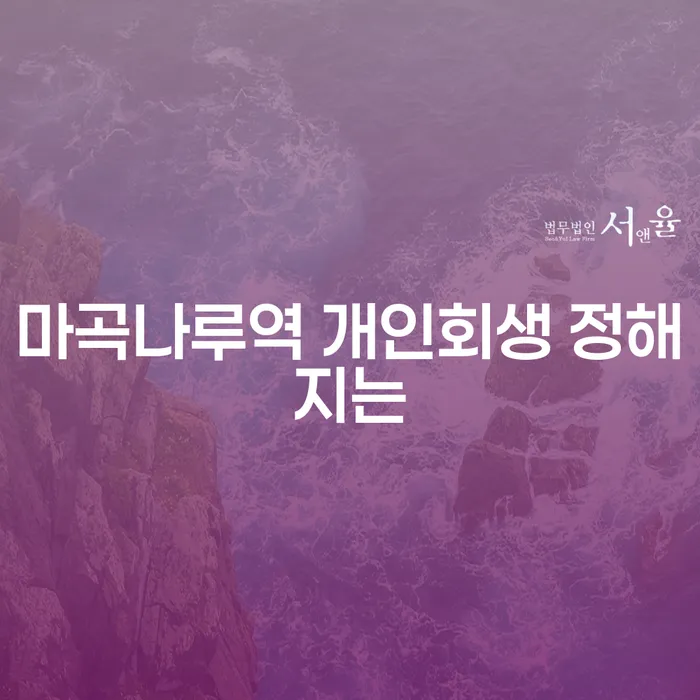 마곡나루역 개인회생 정해지는